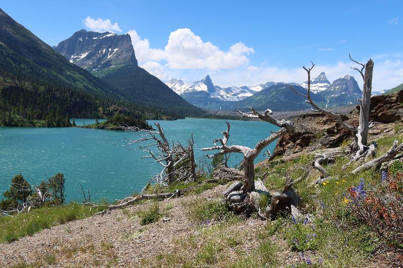 Glaciated Terrain
