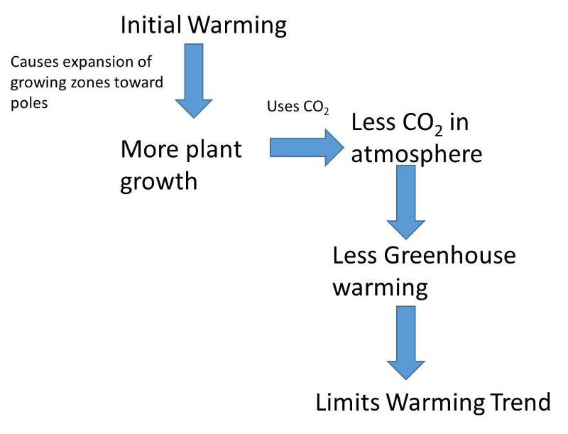 illustration of limiting feedback when plant zones expand