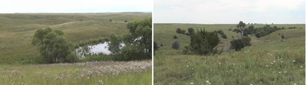 Pictures from NE South Dakota and NC Kansas showing lumpy poorly drained glacial terrain and dendritic river-formed terrain, respectively