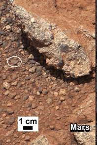 Image of pebbly Martian conglomerate from Curiosity Rover