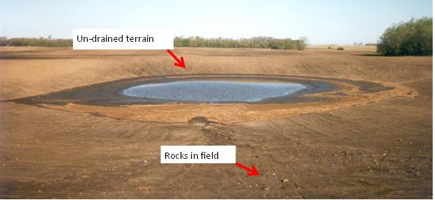 Tilled Farm Field from NW Minnesota showing common cobbles in field and poorly drained terrain