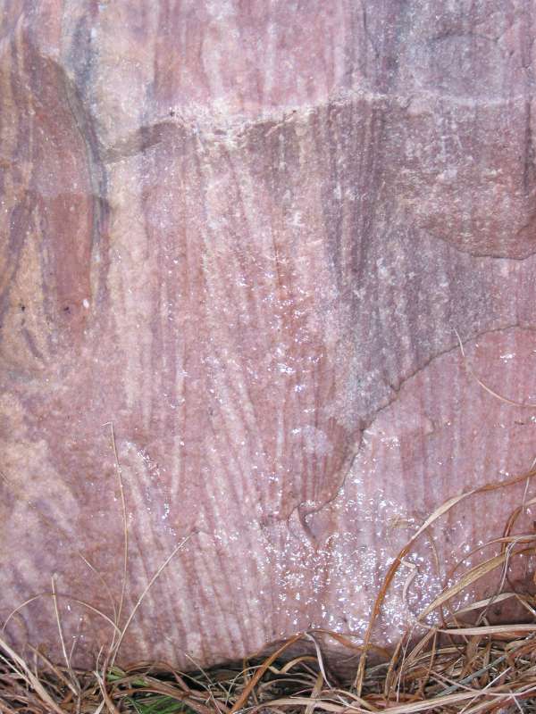Cross-bedding in the Sioux Quartzite