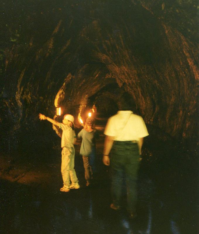 Lava tube in basalt in Hawaii